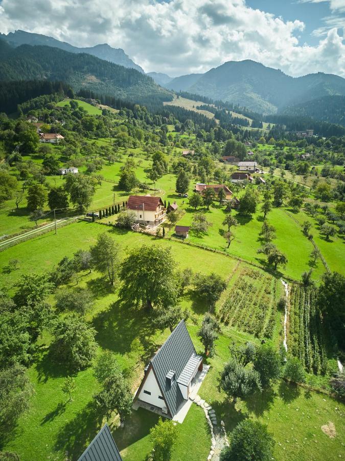 Aruna Bran Бран Екстер'єр фото