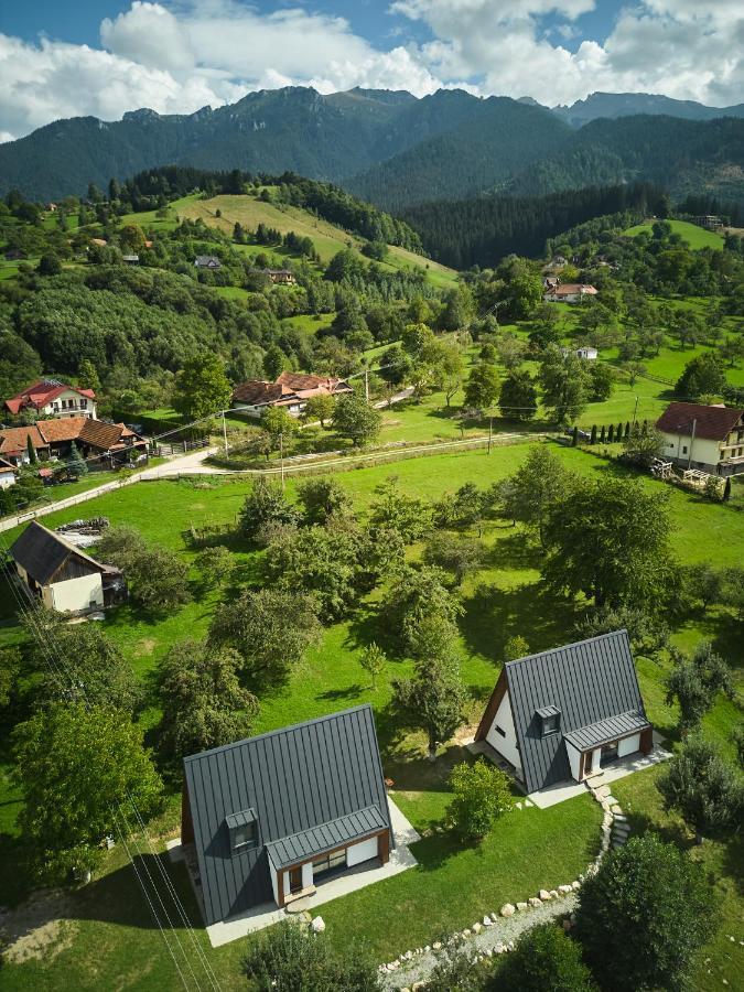 Aruna Bran Бран Екстер'єр фото